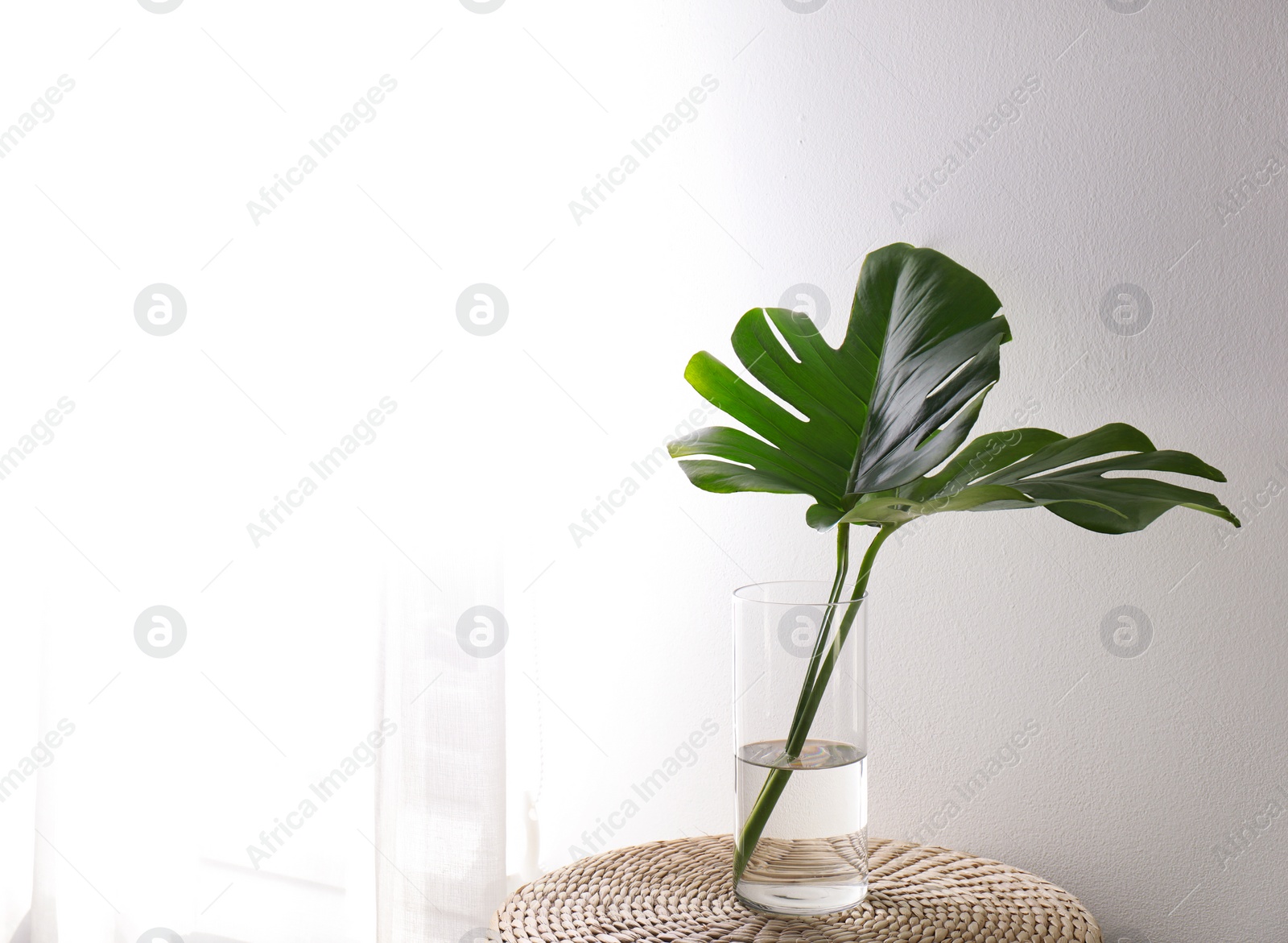 Photo of Green tropical leaves in vase on table. Modern decor for stylish interior