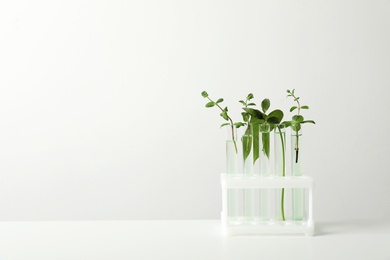 Photo of Test tubes with liquid and plants on white background. Chemistry concept