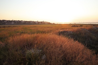 Beautiful view of field at sunrise. Early morning landscape