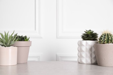 Photo of Beautiful Aloe, Cactus, Haworthia and Echeveria in pots on light table, space for text. Different house plants