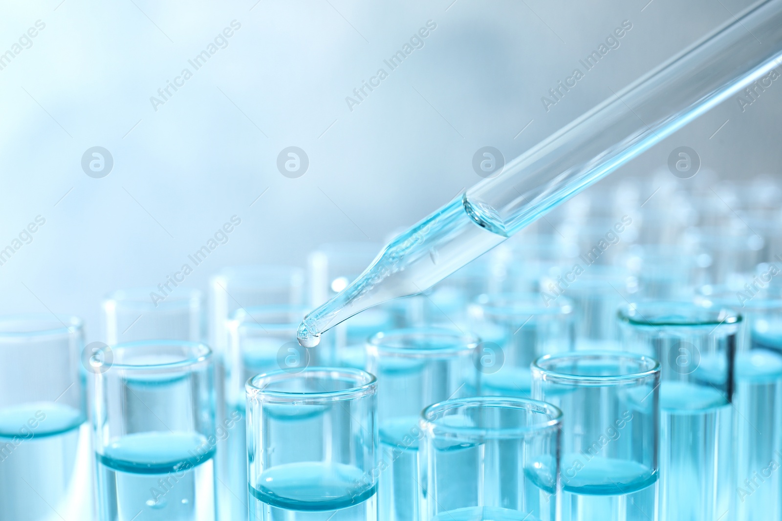 Photo of Dropping sample into test tube with light blue liquid, closeup