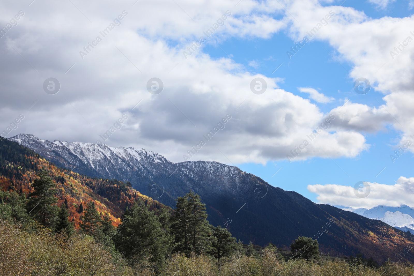 Photo of Picturesque view of mountain landscape with forest under cloudy sky