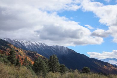 Photo of Picturesque view of mountain landscape with forest under cloudy sky