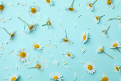 Photo of Flat lay composition with beautiful chamomiles on light blue background