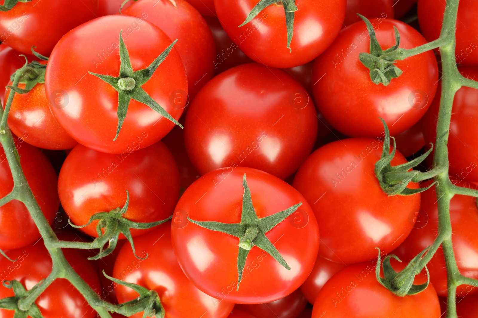 Photo of Many fresh ripe cherry tomatoes as background, top view