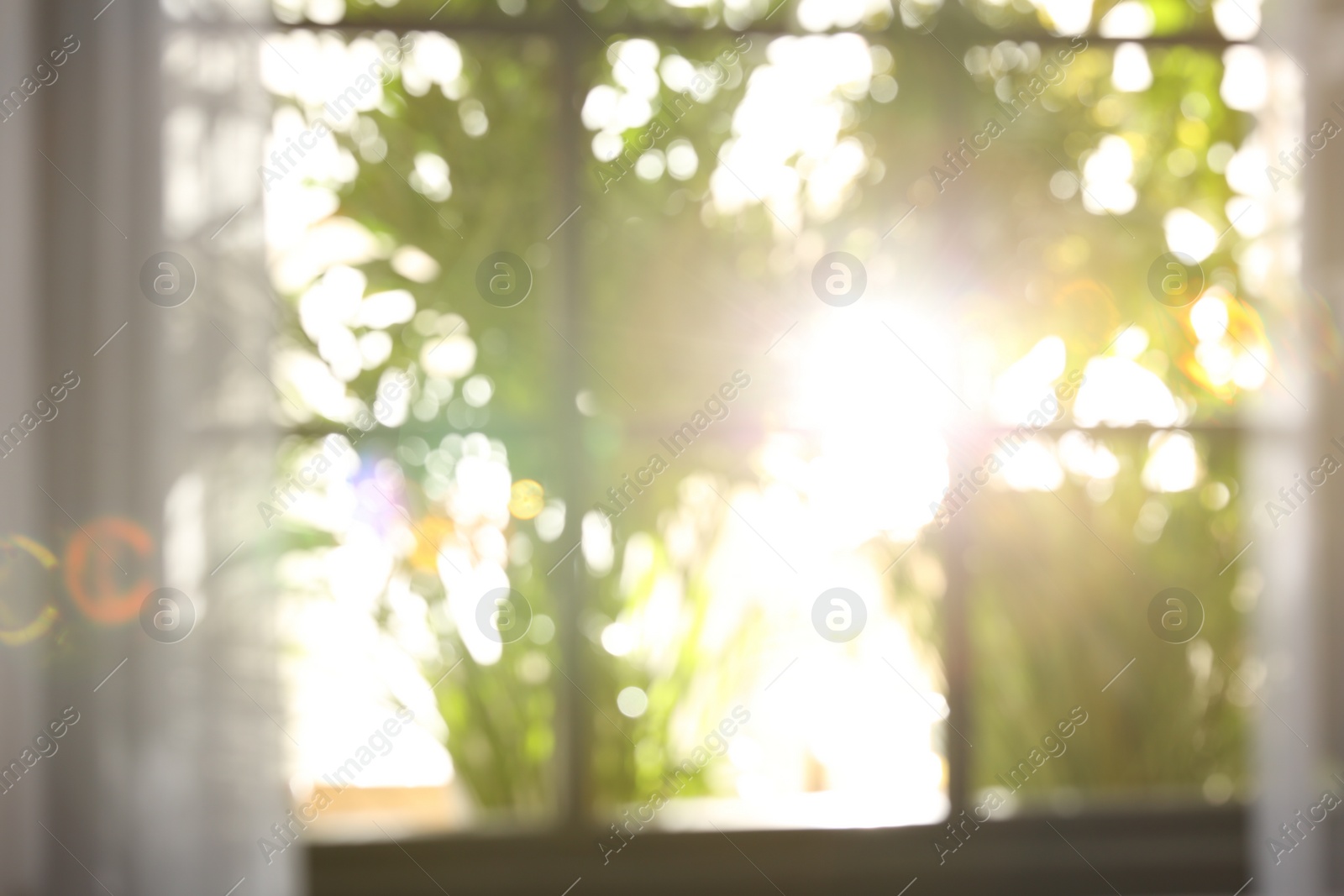 Photo of Blurred view through window on garden in morning