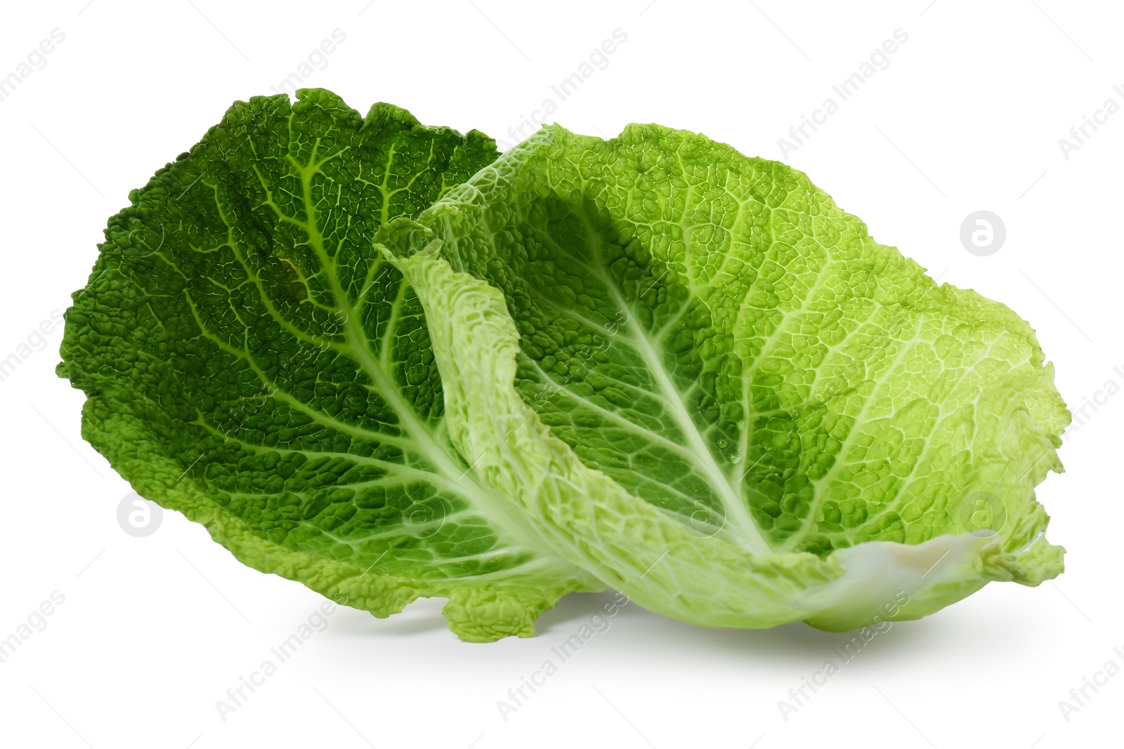 Photo of Fresh leaves of savoy cabbage on white background