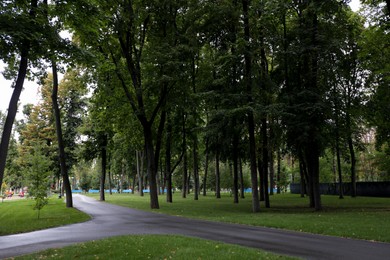 Photo of Beautiful view of park with green grass and tall trees on autumn day