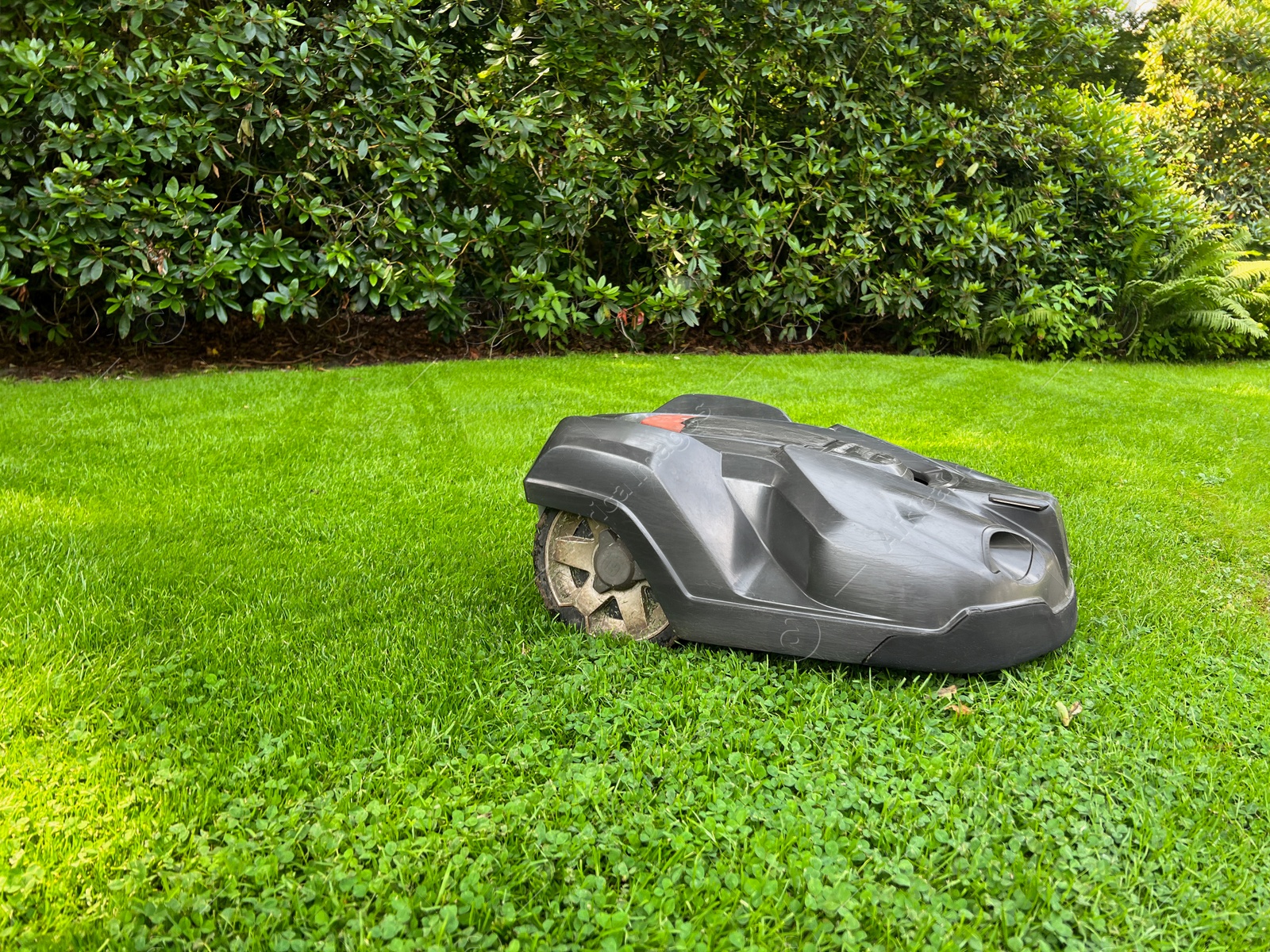 Photo of Modern robot lawn mower on green grass in garden