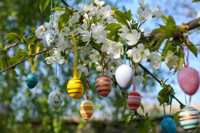 Beautifully painted Easter eggs hanging on blooming tree outdoors