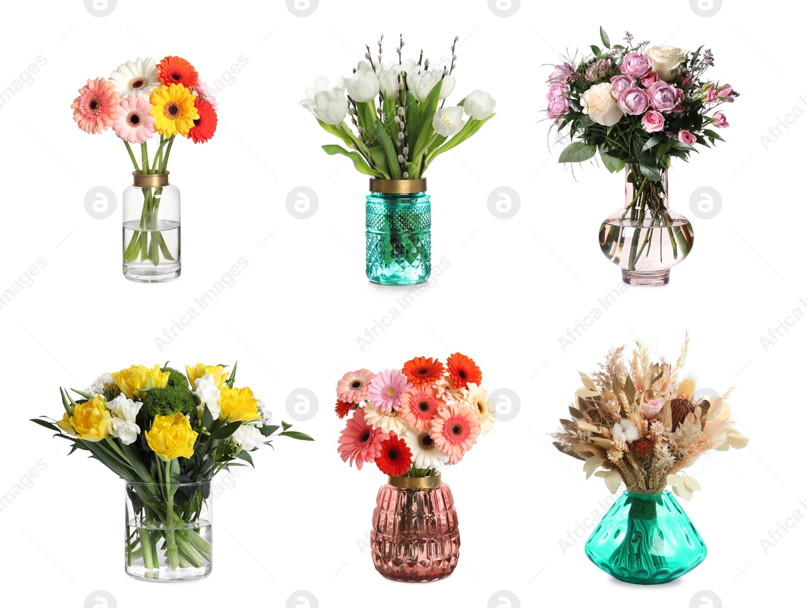 Image of Collage with various beautiful flowers in glass vases on white background