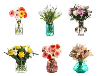 Image of Collage with various beautiful flowers in glass vases on white background