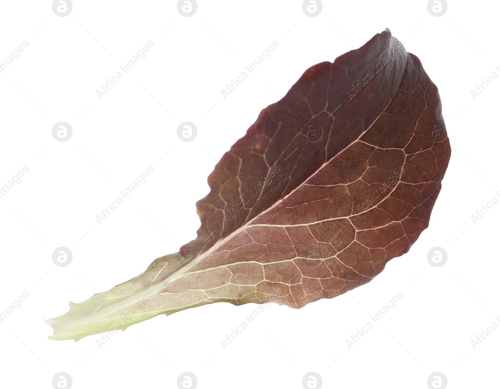 Photo of Leaf of fresh red lettuce isolated on white