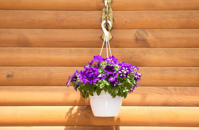 Photo of Beautiful purple flowers in hanging plant pot near wooden wall outdoors on sunny day