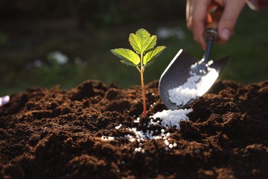 Photo of Woman fertilizing soil with growing young sprout outdoors, selective focus