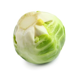 Fresh tasty Brussels sprout on white background