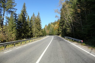 Photo of Asphalt road surrounded by forest on sunny day