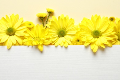 Beautiful chamomile flowers and paper card on color background, flat lay with space for text