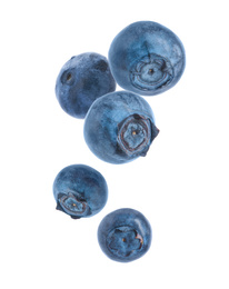 Many fresh ripe blueberries falling on white background