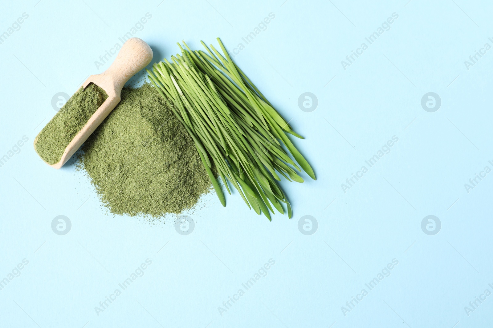 Photo of Pile of wheat grass powder, scoop and fresh sprouts on light blue table, flat lay. Space for text