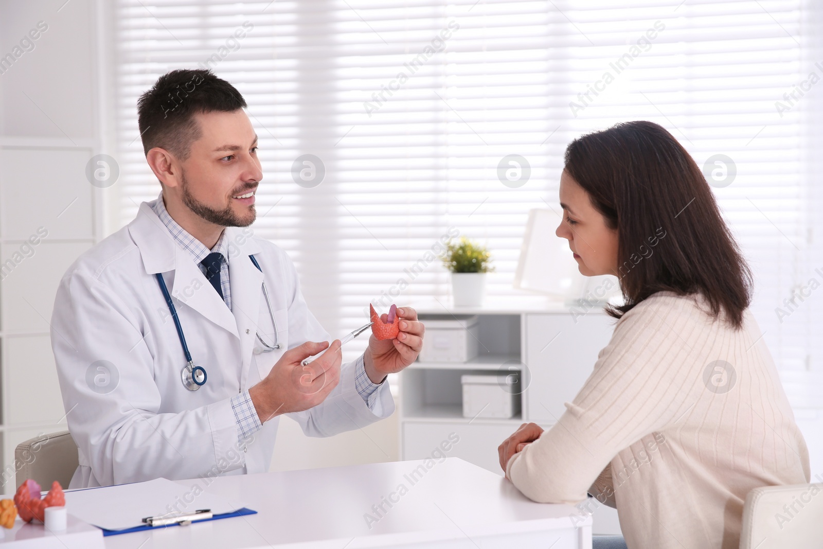 Photo of Doctor showing thyroid gland model to patient in hospital