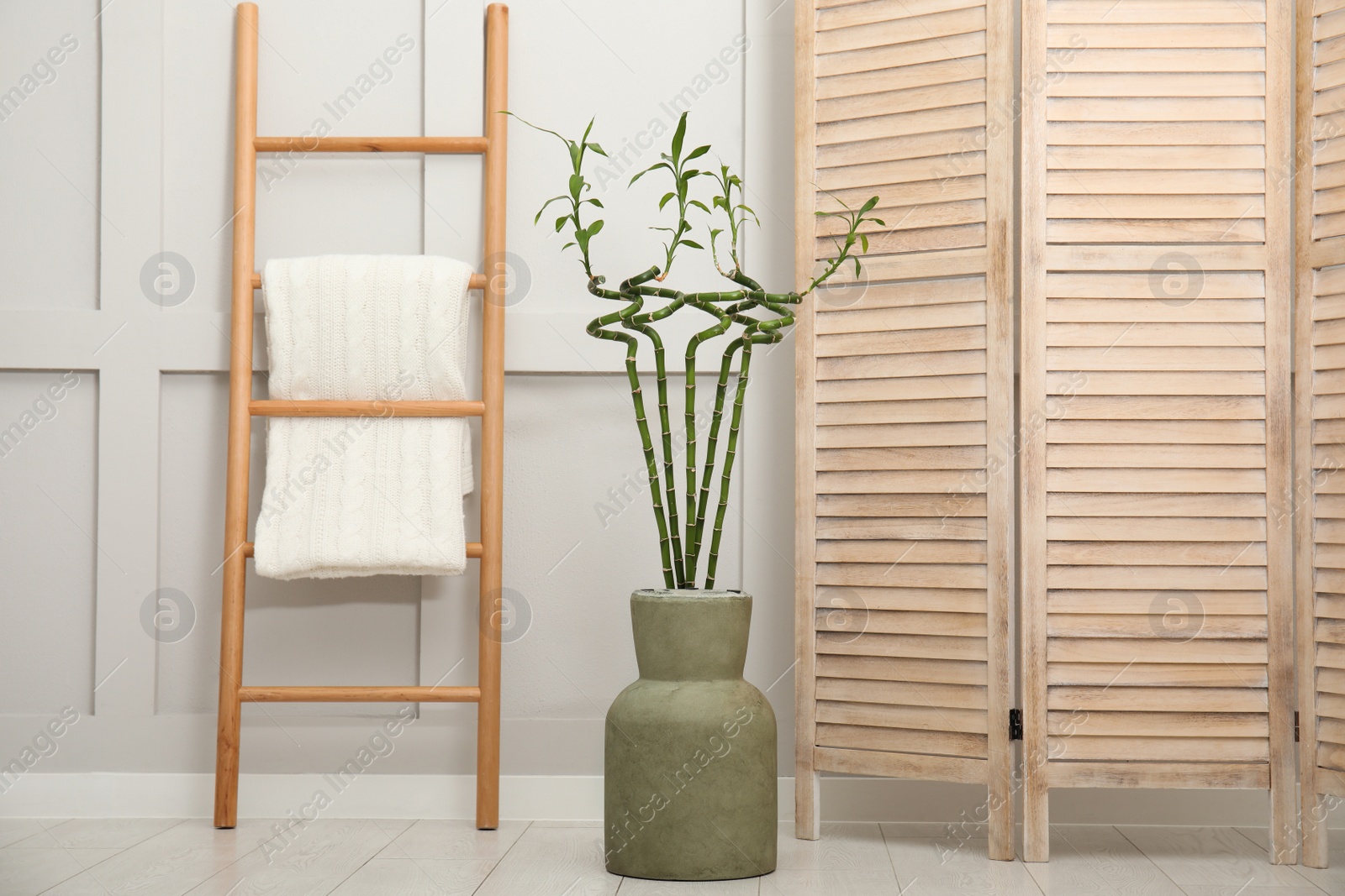 Photo of Vase with green bamboo stems, folding screen and ladder on floor in room. Interior design