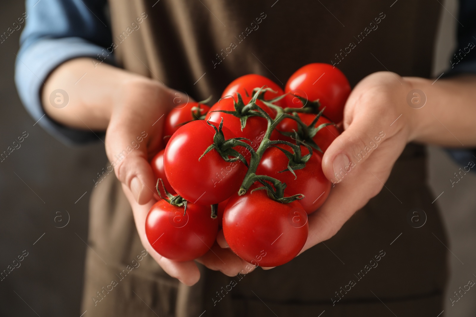 Photo of Woman holding branch of ripe cherry tomatoes, closeup