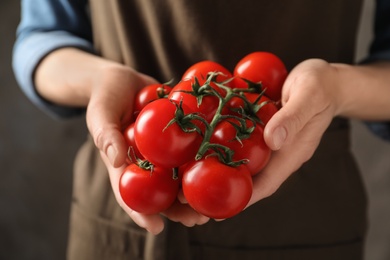 Woman holding branch of ripe cherry tomatoes, closeup