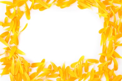 Photo of Frame of beautiful calendula petals on white background, top view. Space for text