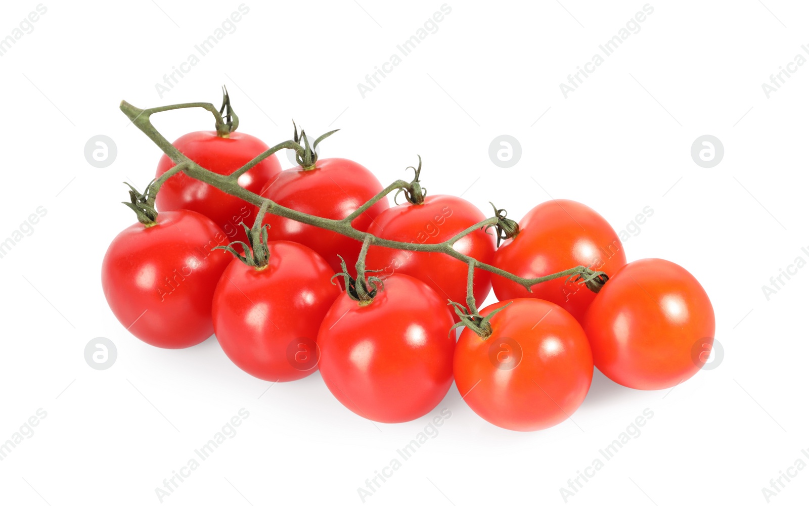 Photo of Branch with ripe cherry tomatoes isolated on white