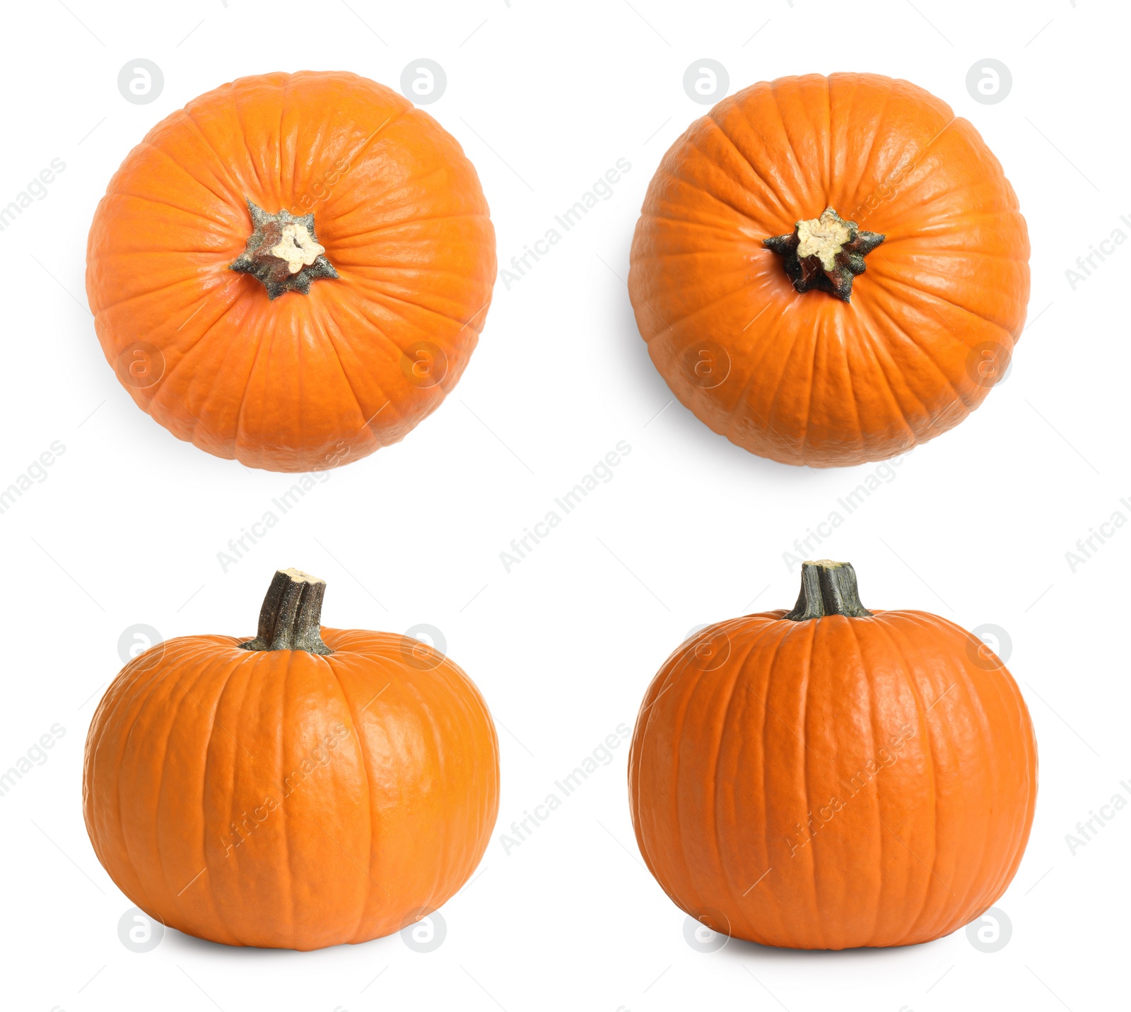 Image of Set of fresh orange pumpkins on white background