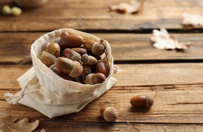 Acorns in cotton bag on wooden table, space for text