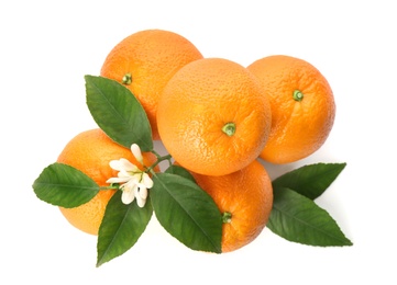 Photo of Fresh ripe oranges with green leaves and flower on white background, top view