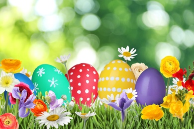 Image of Bright Easter eggs and spring flowers on green grass outdoors