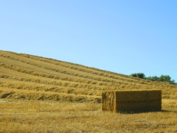 Photo of One hay bale outdoors on sunny day, space for text