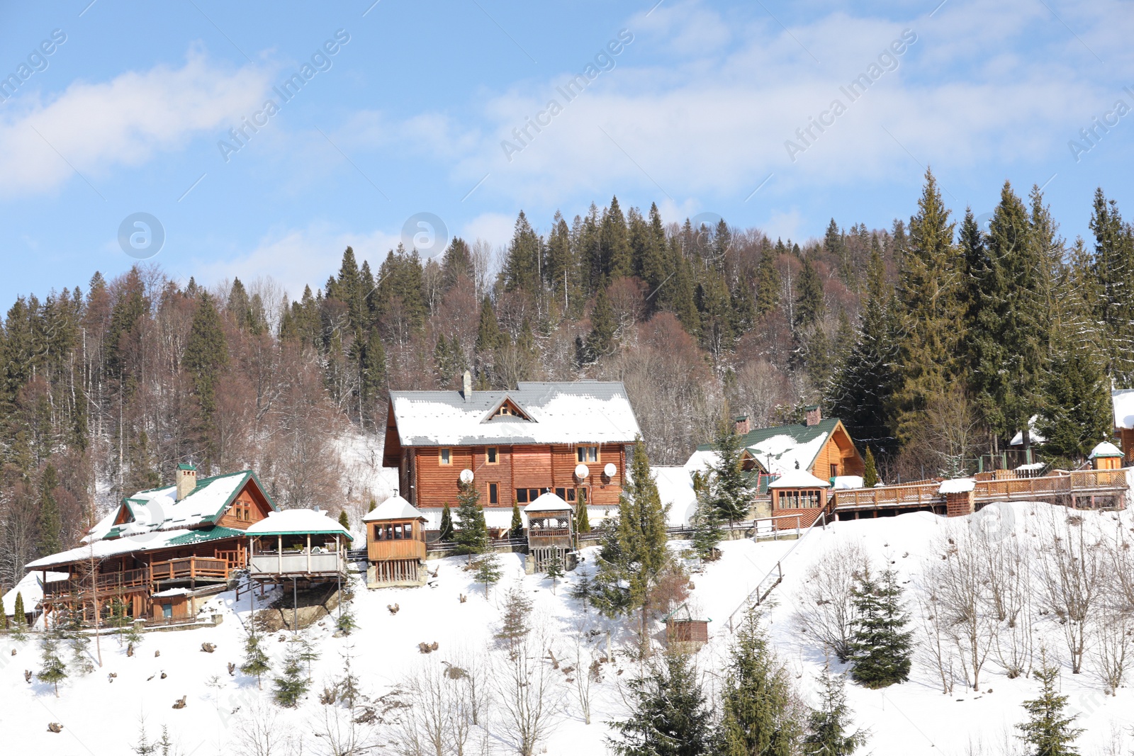 Photo of Beautiful view of cottage village near forest on winter morning