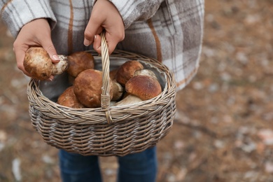 Photo of Woman with basket full of wild mushrooms in autumn forest, closeup