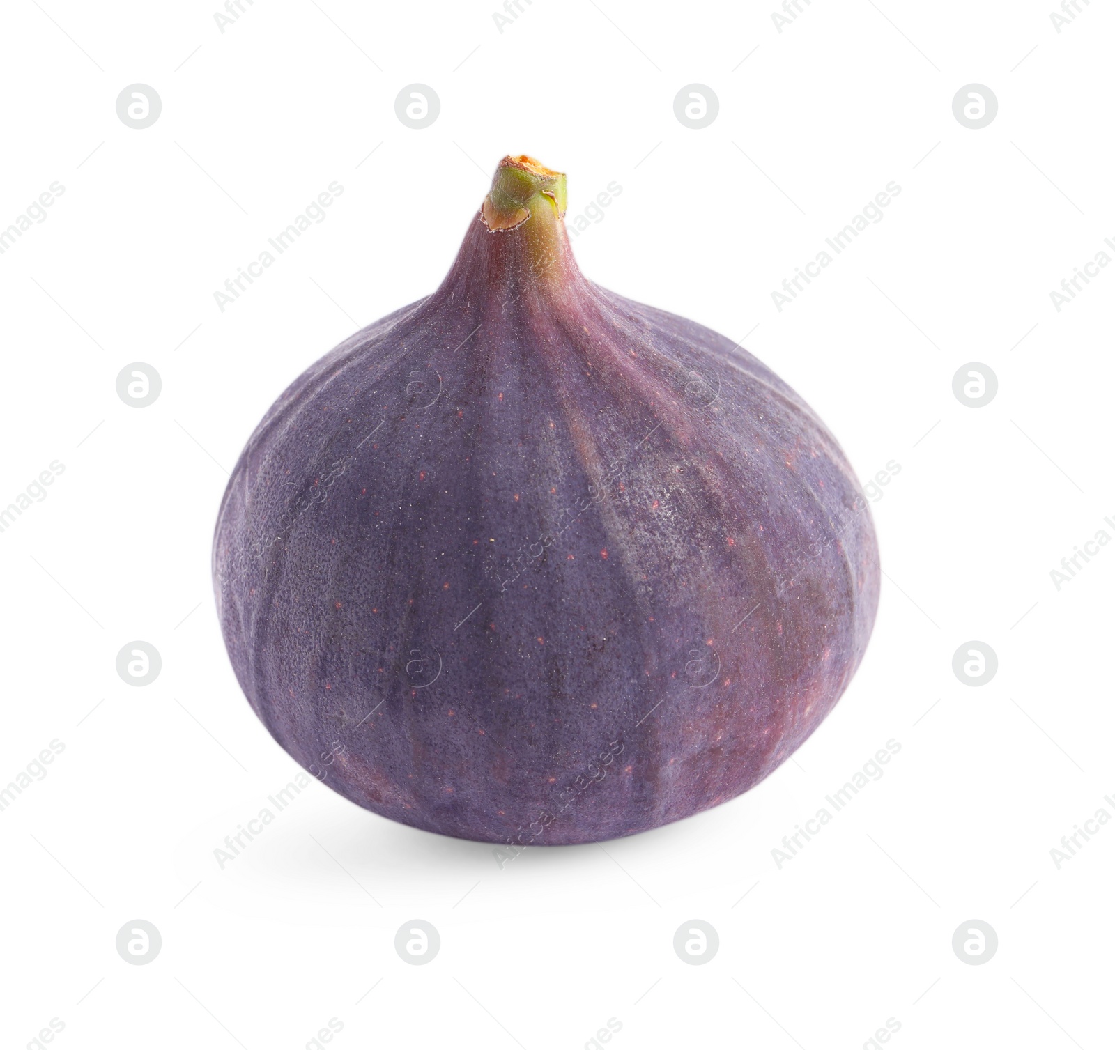 Photo of Whole ripe fresh fig isolated on white