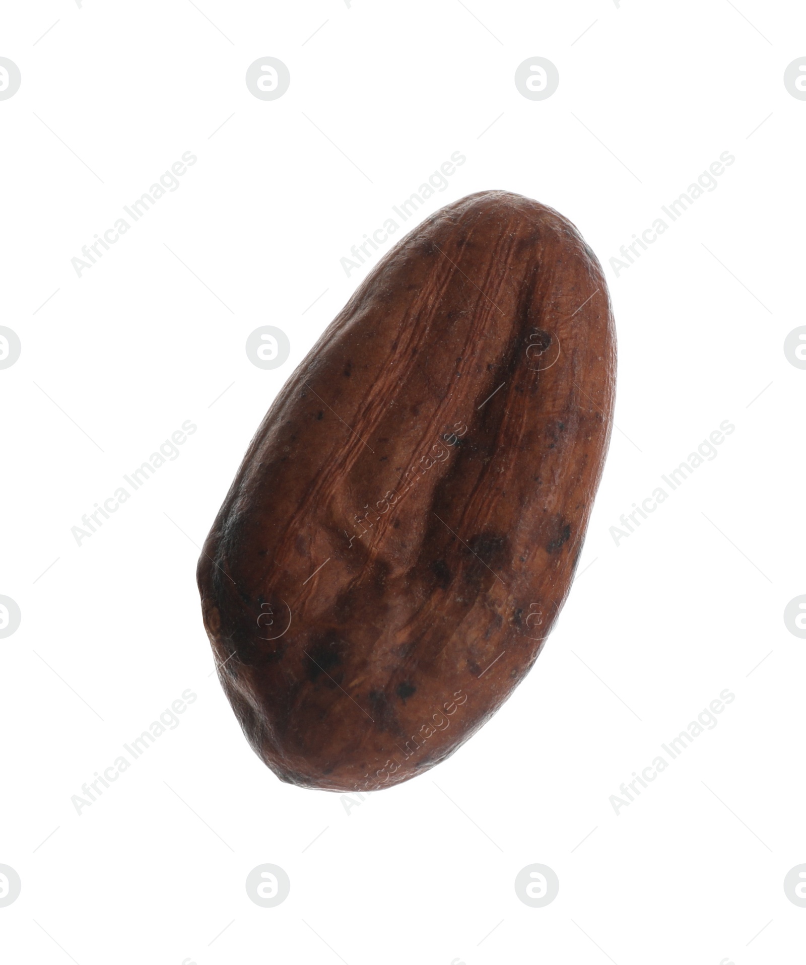 Photo of Brown raw cocoa bean isolated on white