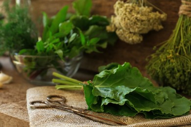 Photo of Different herbs, rusty scissors and burlap fabric on wooden table. Space for text