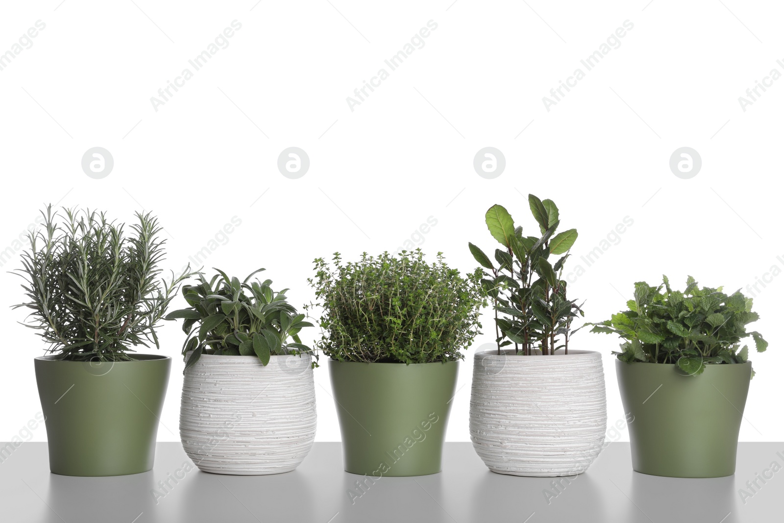 Photo of Pots with thyme, bay, sage, mint and rosemary on white background