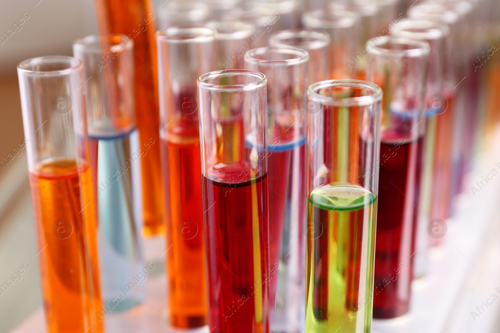 Photo of Test tubes with color liquids in rack, closeup. Solution chemistry