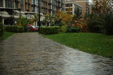 Photo of Wet pavement and green plants in residential area after rain
