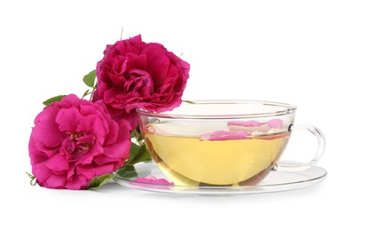 Aromatic herbal tea in glass cup and peonies isolated on white