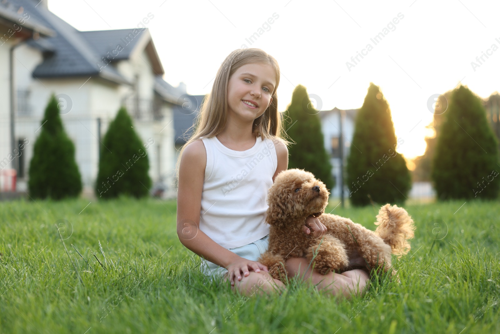 Photo of Beautiful girl with cute Maltipoo dog on green lawn in backyard