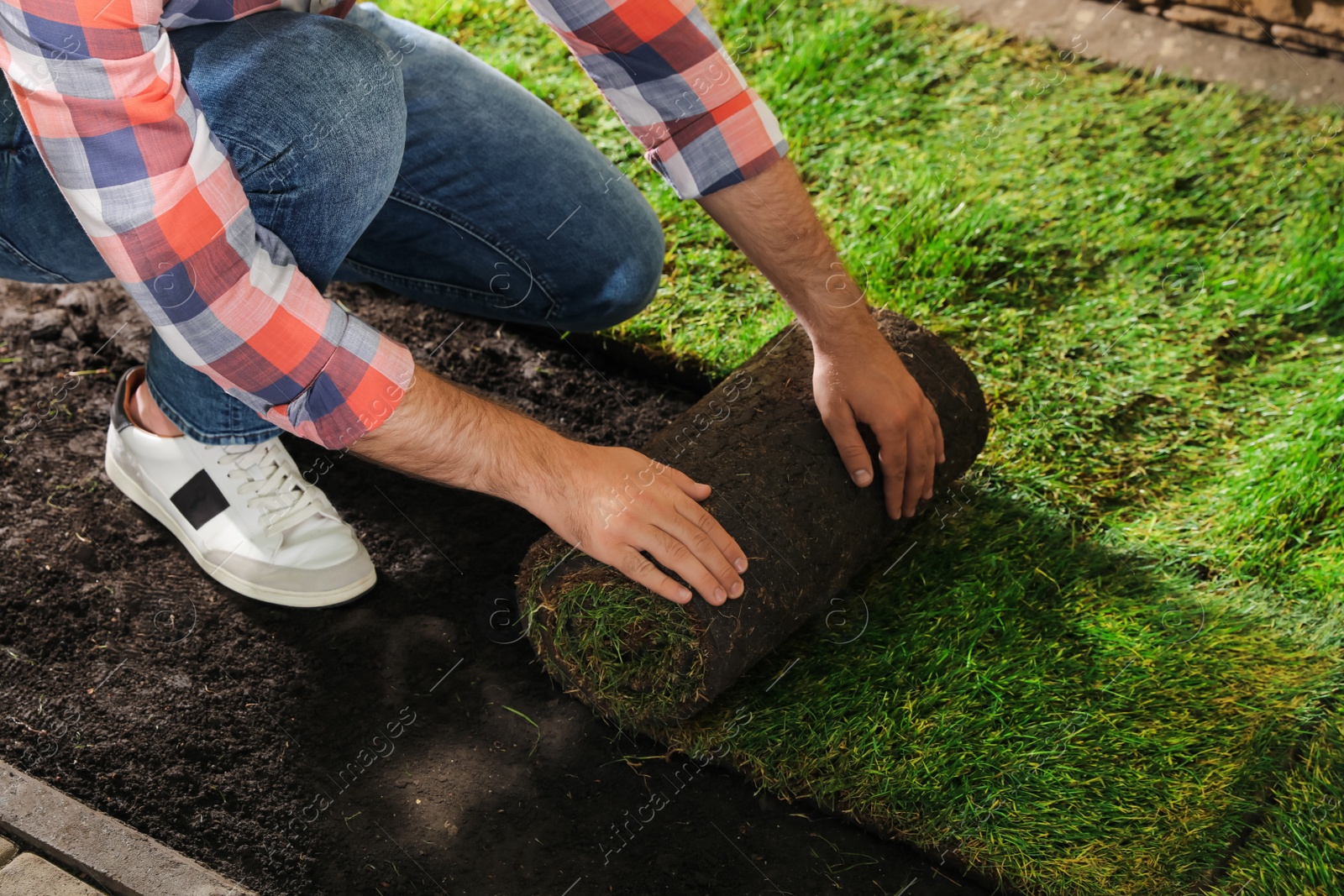 Photo of Young man laying grass sod on ground at backyard, closeup