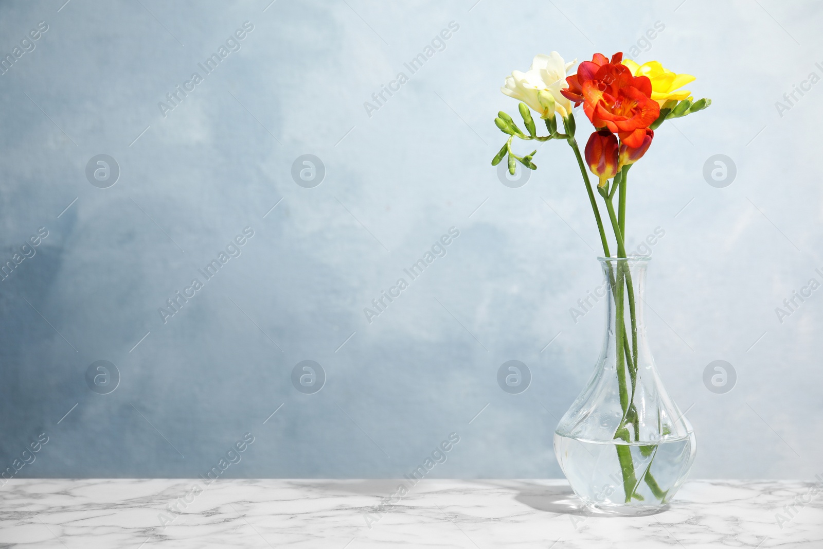 Photo of Bouquet of spring freesia flowers in vase on table against color background. Space for text