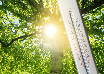 Weather thermometer and beautiful tree with green leaves on background, space for text