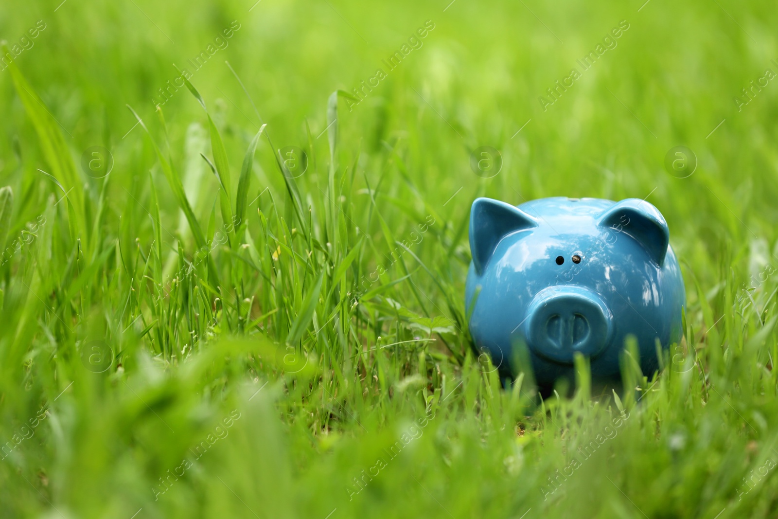 Photo of Cute blue piggy bank standing in green grass outdoors. Space for text