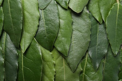 Many fresh bay leaves as background, flat lay